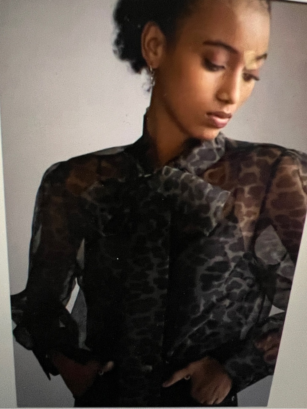 Anthropologie Mare Mare Sheer Leopard-Print Blouse with large bow XL